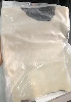 体外透皮实验用猪皮